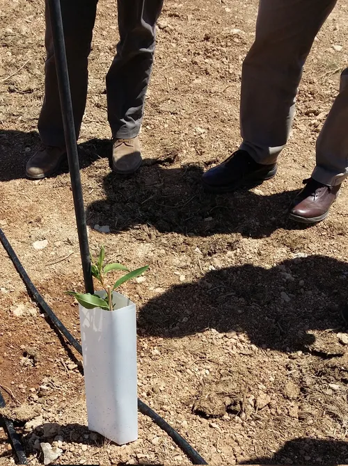 Protection of the environment