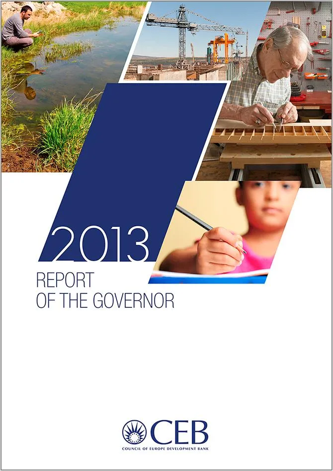 Annual report 2013