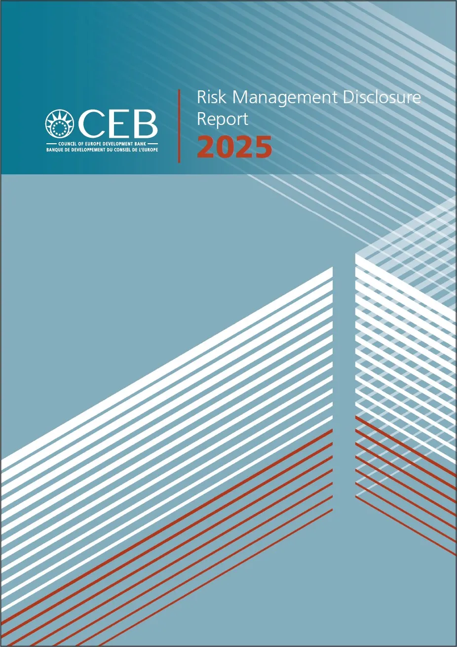 CEB Risk Management Report 2025 cover