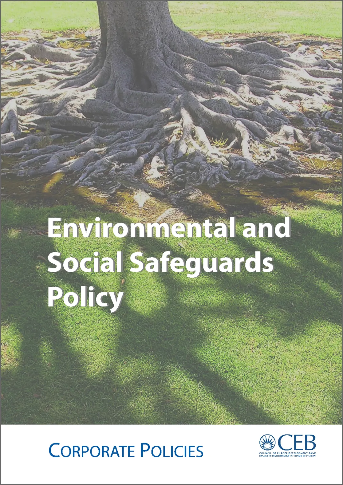 Environmental and Social Safeguards Policy