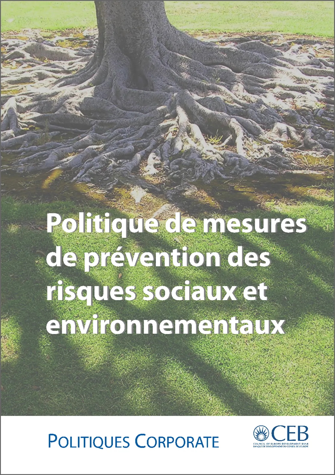 Politique de mesures de prévention des risques sociaux et environnementaux