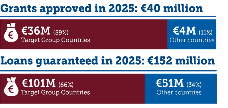 Grants and loan guarantees 2025