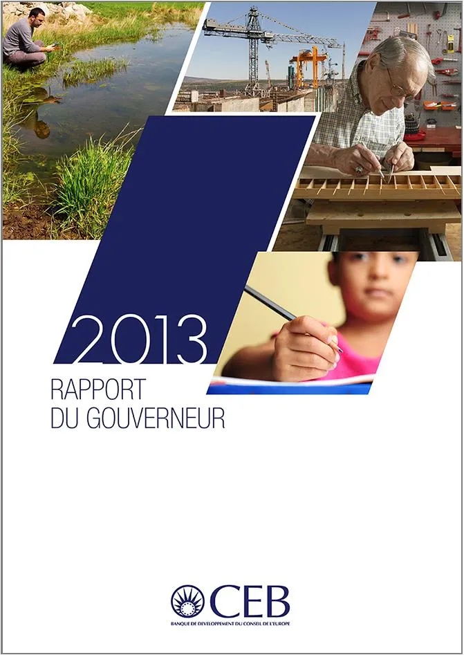 Rapport annuel 2013