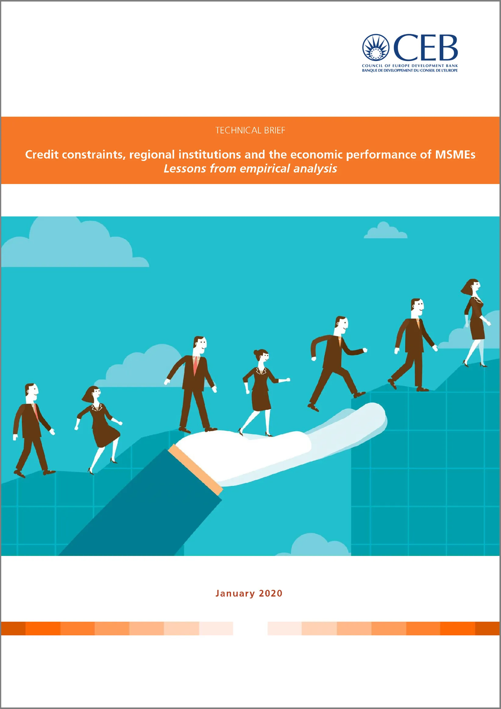 Technical Brief How credit constraints impact the economic performance of MSMEs and why regional institutions matter