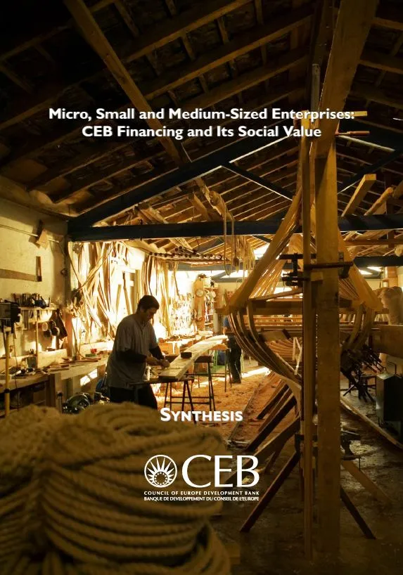 MSME study synthesis