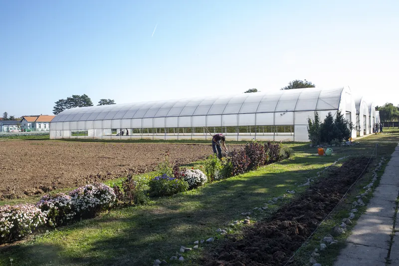 Secondary School of Agriculture and Veterinary Medicine