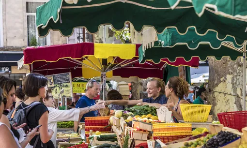 Sector Living conditions