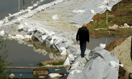 Sector Natural disasters