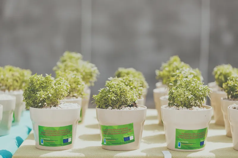 Mia Milia plant Nicosia